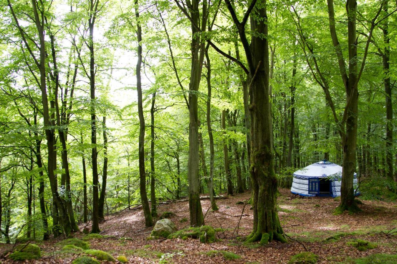Stf Nyrups Naturhotell Hoor Exterior photo